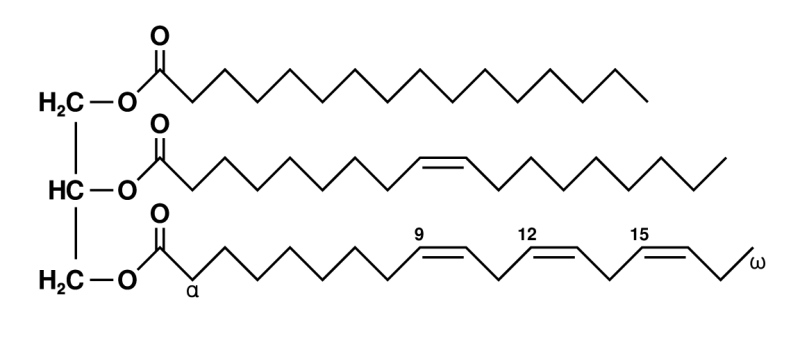 Quelle: https://de.wikipedia.org/wiki/Datei:Fat_triglyceride_shorthand_formula.PNG